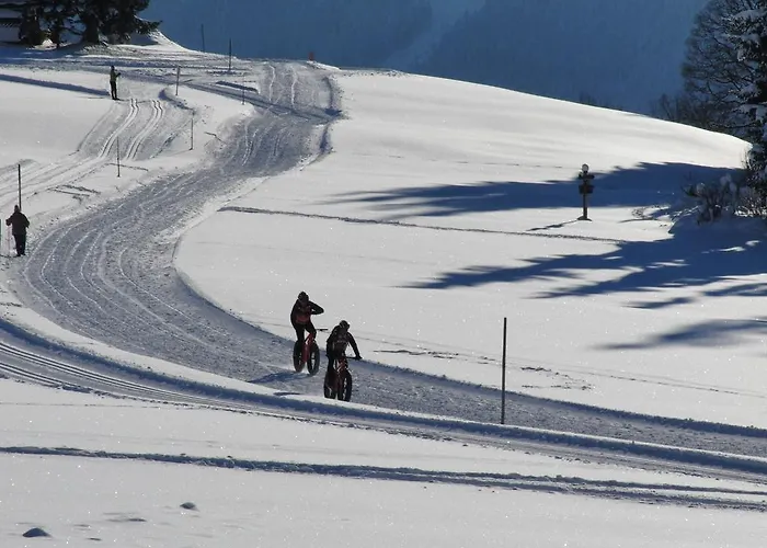 Aparthotel Sunrise Ramsau am Dachstein