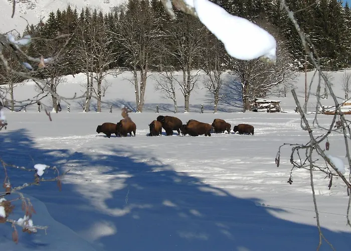 Sunrise Aparthotel 4*